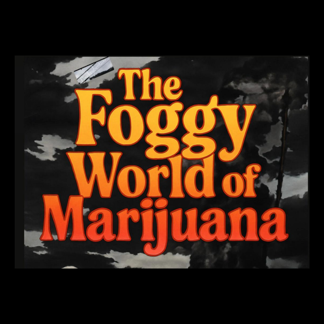 EBOOK: The Foggy World Of Marijuana 🍃😶‍🌫️